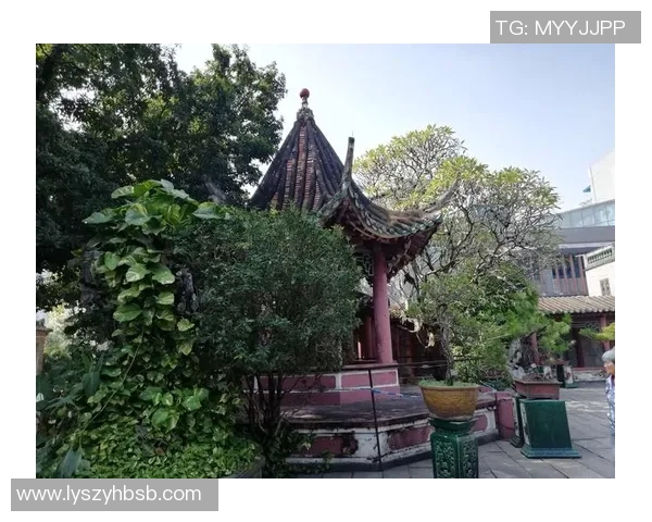 全方位解析跳水运动从基础训练到高难度技巧与独特美学魅力展现之