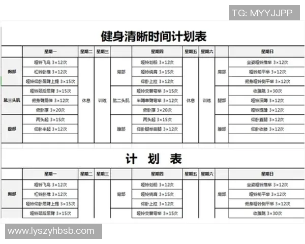 全面提升身体素质与健康的健身计划从基础动作到高级训练的全攻略
