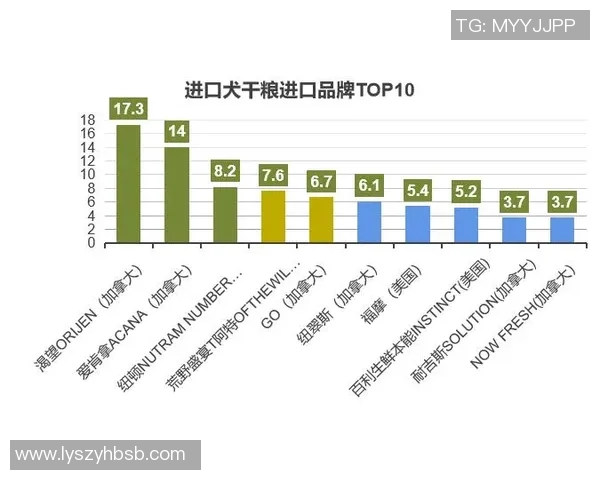探寻世界顶级足球俱乐部发展与经营策略的全景式深度解读报告分析