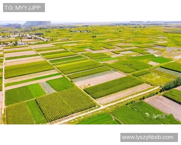 辽宁本钢打造钢铁产业升级新篇章 推动高质量发展与绿色转型结合